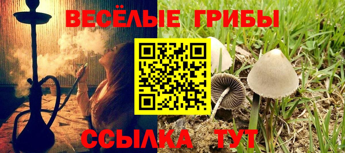 Долгопрудный  Псилоцибиновые грибы Psilocybine cubensis  Галлюциногенные грибы GOLDEN TEACHER  Вход с VPN 