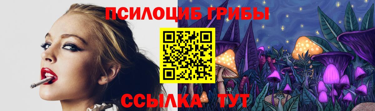 Галлюциногенные грибы Magic Shrooms Долгопрудный